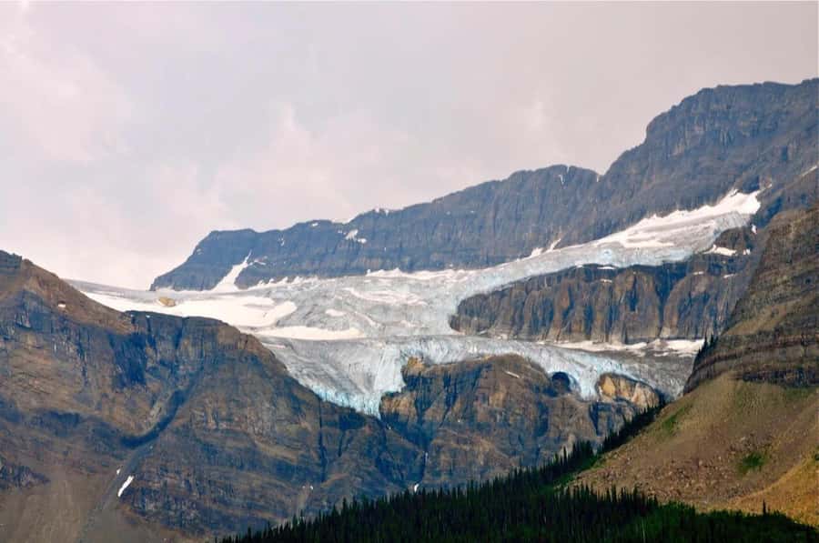 Banff and Jasper National Parks Tour and Glacier Adventure - Key points to know before booking