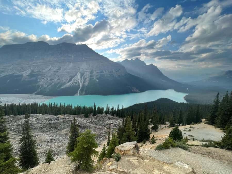 Banff and Jasper National Parks Tour and Glacier Adventure - What the $48 price really buys you