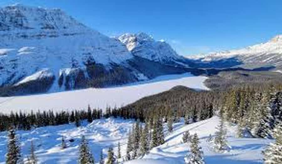 Banff and Jasper National Parks Tour and Glacier Adventure - The Icefields Parkway is the real star