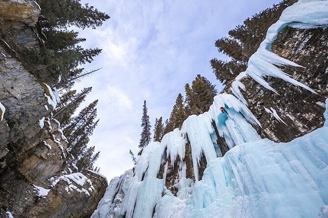 Banff Area & Johnston Canyon 1-Day Tour from Calgary or Banff - Banff Avenue: lunch and a short taste of town