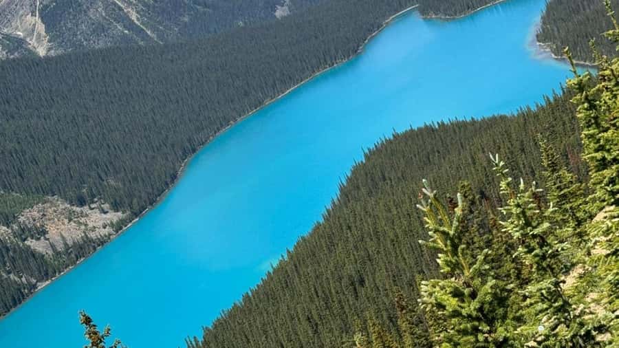 Banff/Calgary/Canmore: Crowfoot Glacier, 5 Lakes & Canyon - Lunch at Lake Louise Ski Resort or the village