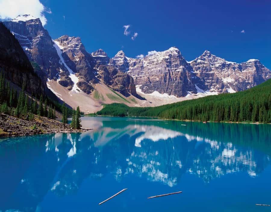 Banff/Calgary:Lake Louise,Moraine Lake,Emerald Lake Day Tour - Natural Bridge and the force of the Kicking Horse River