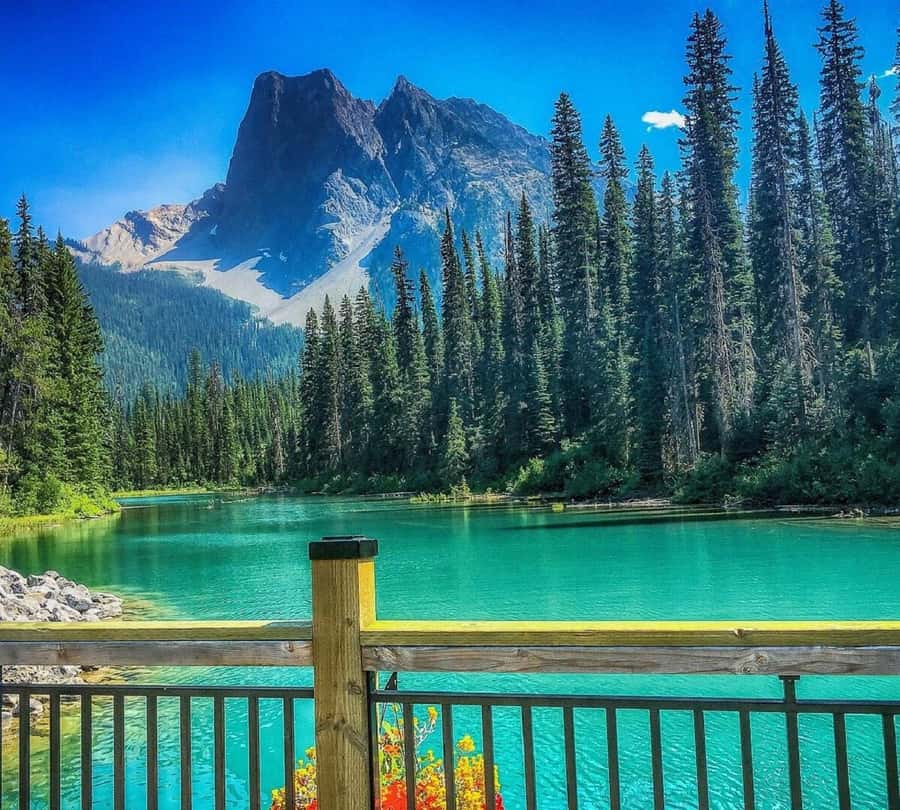 Banff/Calgary:Lake Louise,Moraine Lake,Emerald Lake Day Tour - Lake Louise: the first major stop