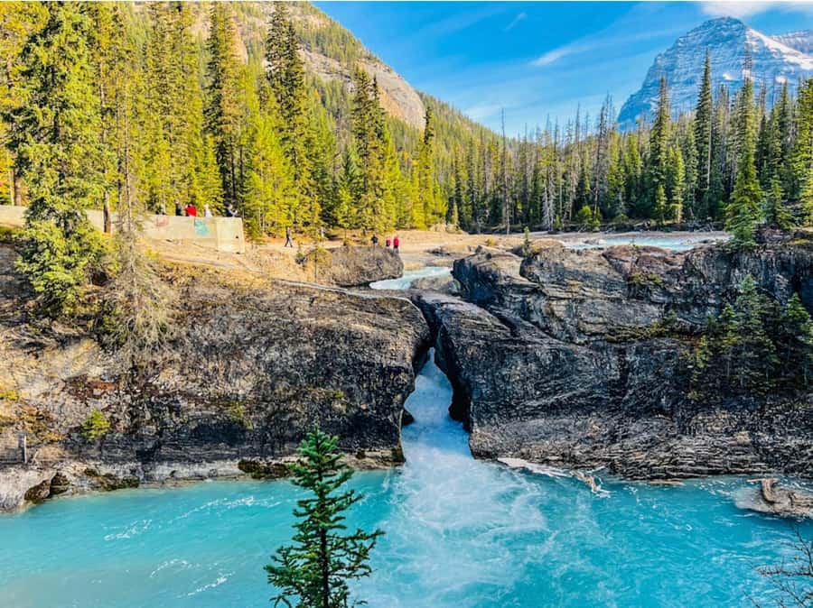 Banff/Calgary: Louise, Moraine/Bow, Emerald & Peyto 4 Lakes - Key points before you book