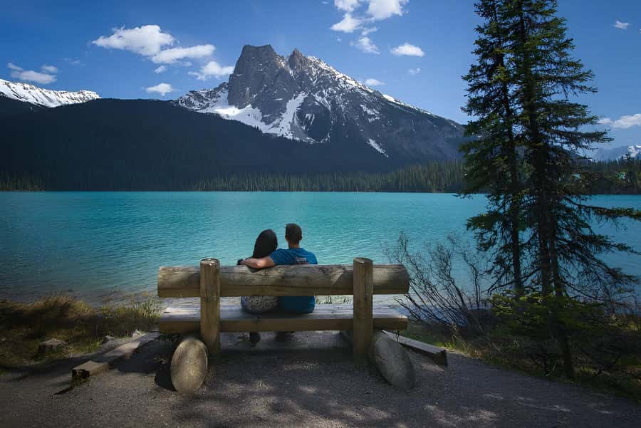 Banff/Calgary: Louise, Moraine/Bow, Emerald & Peyto 4 Lakes - Peyto Lake and the short walk to the viewpoint