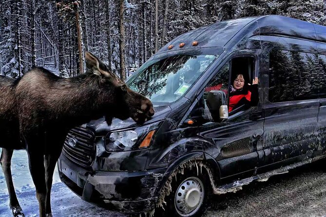 Banff/Canmore: Moraine Lake and Lake Louise Shuttle-90m each lake - Three hours of free time, without a forced schedule