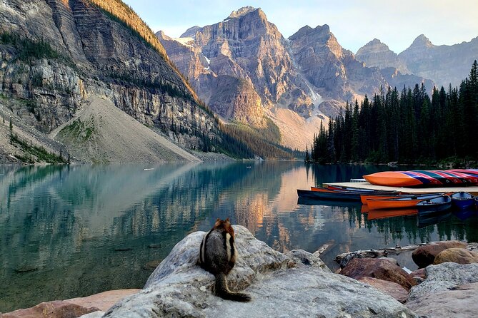 Banff/Canmore Moraine Lake & Lake Louise– Hike, Canoe or Sightsee - Why the 14-passenger van matters
