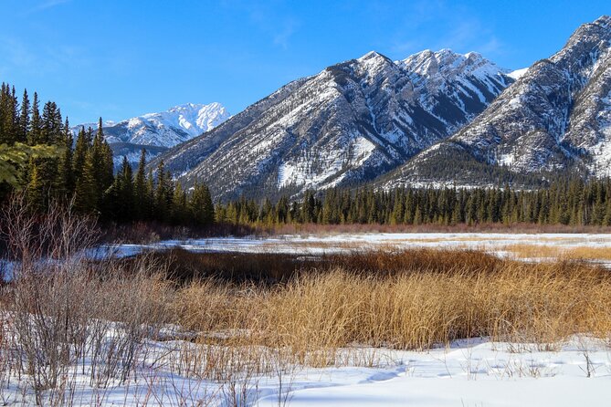 Banff Cave & Hot Springs Audio Walking Tour (Not a Ticket) - How the GPS audio system works