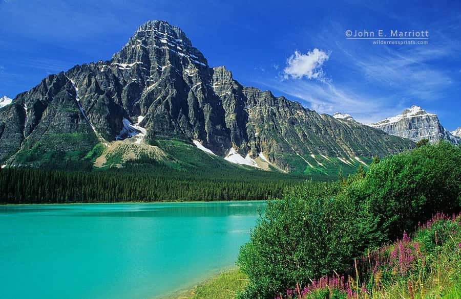 Banff:Crowfoot Glacier, 4 Lakes and Johnston Canyon tour - Key points before you book