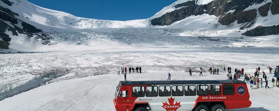 Banff:Crowfoot Glacier, 4 Lakes and Johnston Canyon tour - Crowfoot Glacier: a quick first look at ice