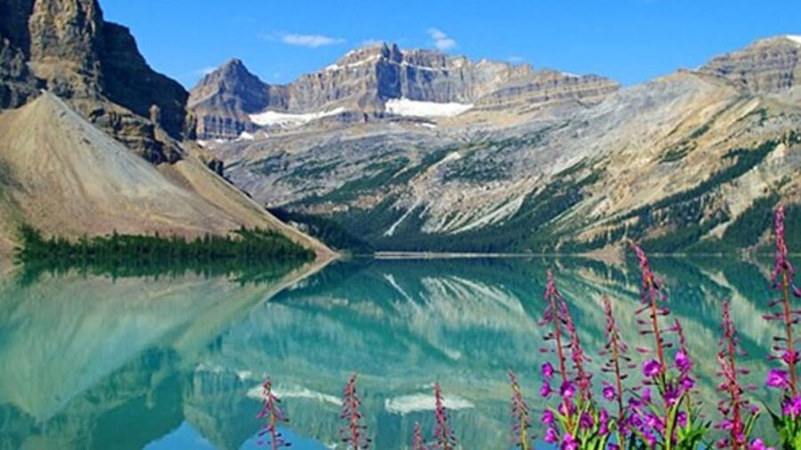 Banff:Crowfoot Glacier, 4 Lakes and Johnston Canyon tour - Peyto Lake: the visual centerpiece