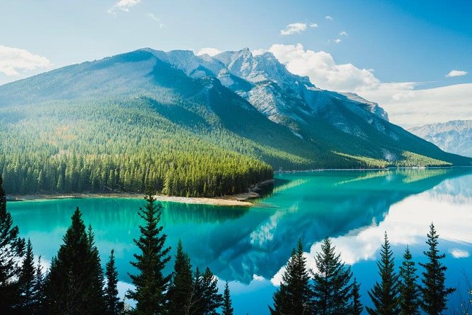 Banff Day Trip From Calgary - Bow Falls, a quick stop with real energy