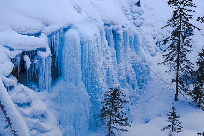 Banff Day Trip: Johnston Canyon, Fairmont Banff Springs, Gondola - Starting early in Calgary