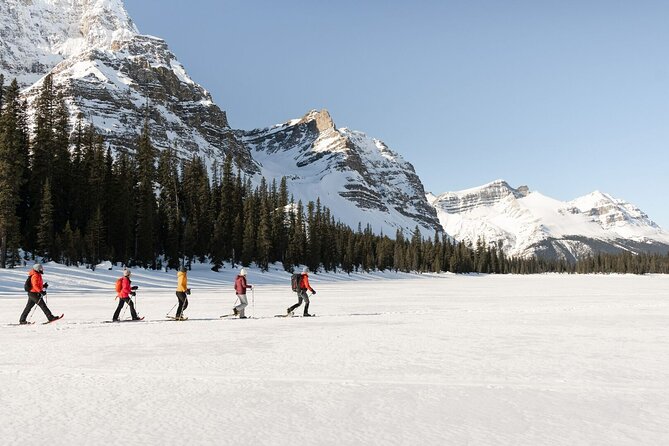 Banff Day Trip: Johnston Canyon, Fairmont Banff Springs, Gondola - Bow Falls and Surprise Corner
