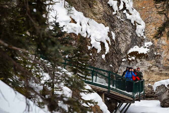 Banff Day Trip: Johnston Canyon, Fairmont Banff Springs, Gondola - Lunch and a look at Fairmont Banff Springs