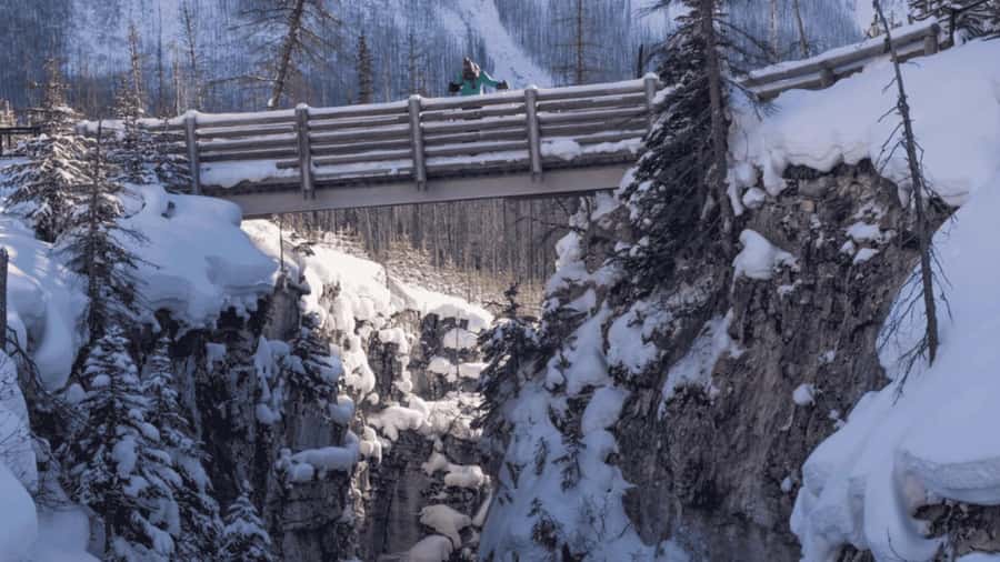 Banff Day Trip - Lake Louise, Moraine Lake, & Emerald Lake - Key points before you book
