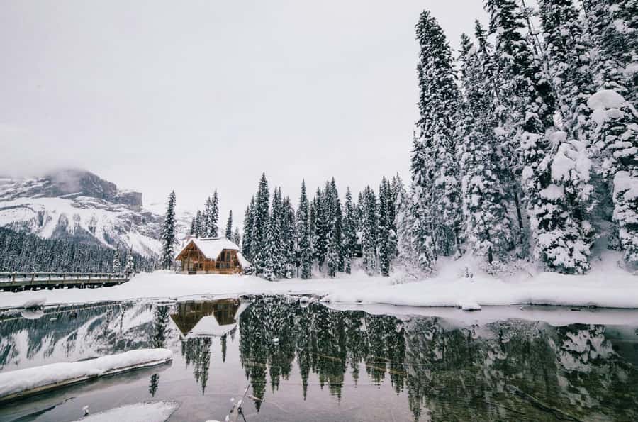 Banff Day Trip - Lake Louise, Moraine Lake, & Emerald Lake - Moraine Lake brings the biggest seasonal reward