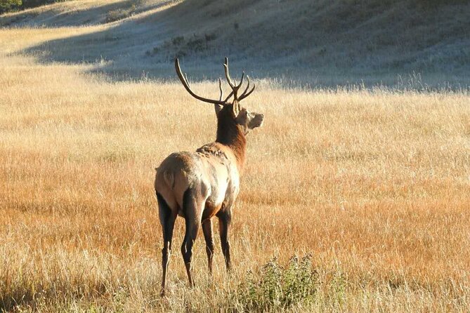 Banff Deep 1 Day Tour in small group - Bow Falls, Surprise Corner, and the Hoodoos Trail