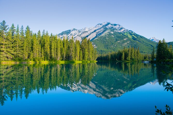 Banff Deep 1 Day Tour in small group - Johnston Canyon gives you the day’s best walk