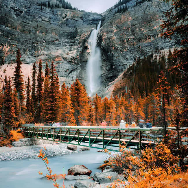 Banff: Emerald Lake, Wapta Falls & Takakkaw Falls Day Trip - Five things worth knowing before you book
