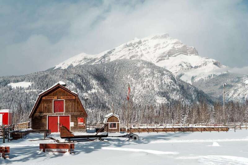 Banff: Family Friendly Horse-Drawn Sleigh Ride - Key details before you book