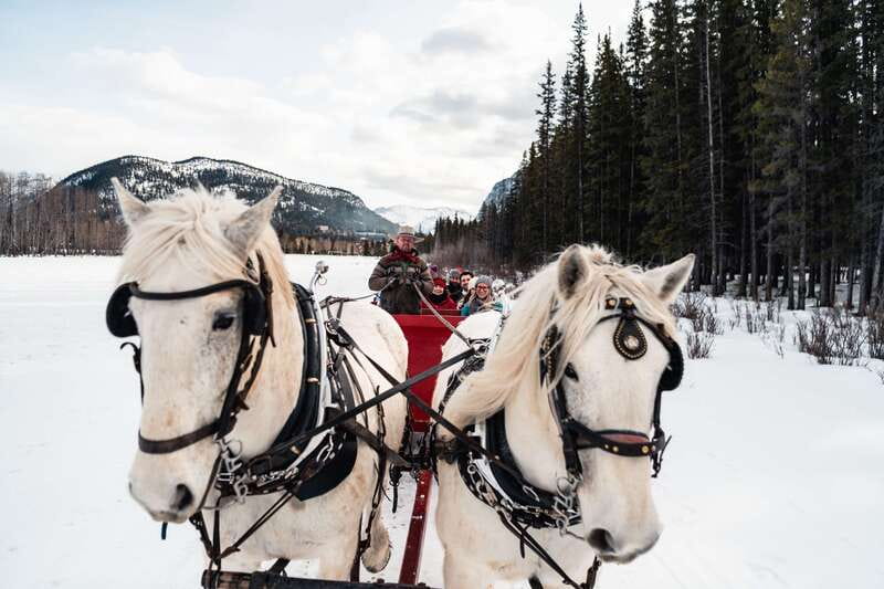 Banff: Family Friendly Horse-Drawn Sleigh Ride - The route: scenic, but not always remote