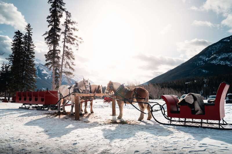 Banff: Family Friendly Horse-Drawn Sleigh Ride - Mountain views do most of the work