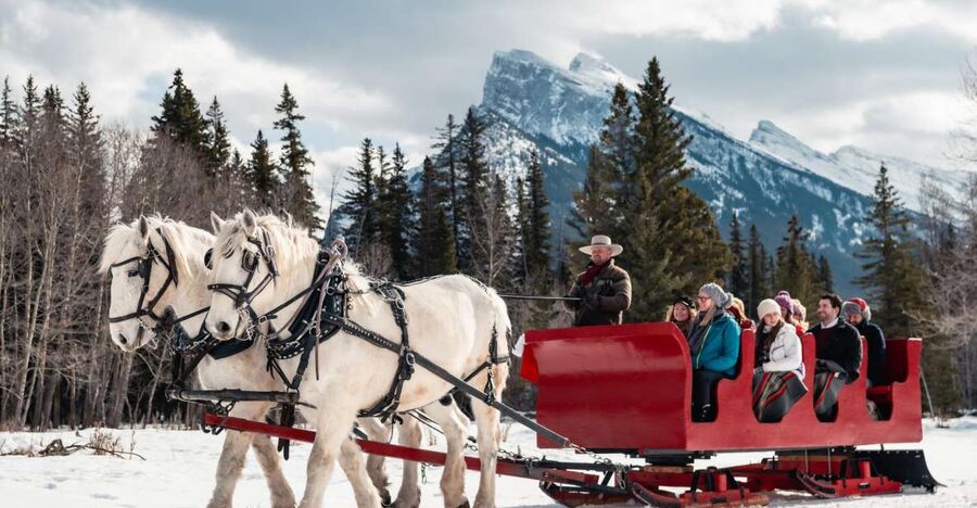 Banff: Family Friendly Horse-Drawn Sleigh Ride - Hot chocolate, apple cider, and the fire pit