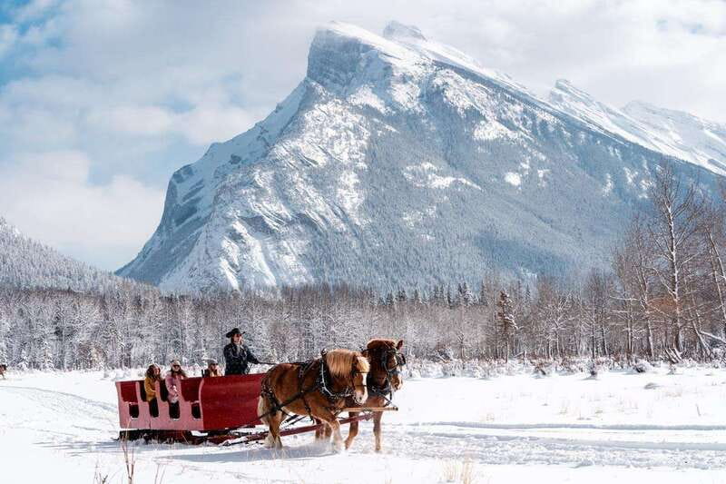 Banff: Family Friendly Horse-Drawn Sleigh Ride - Is $39 a good value?