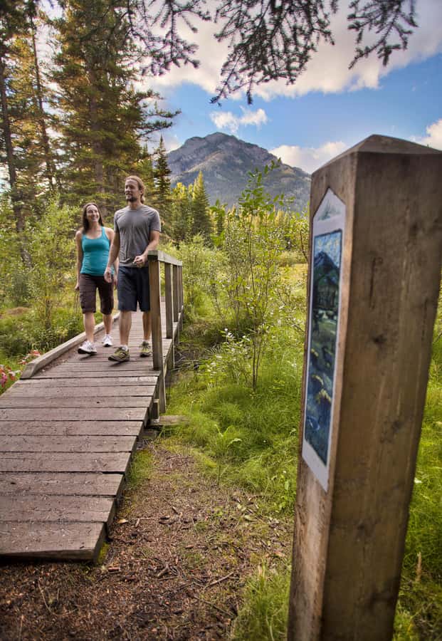 Banff GHOST TOWN History Walking Tour + Transportation - Key Points to Know Before You Go