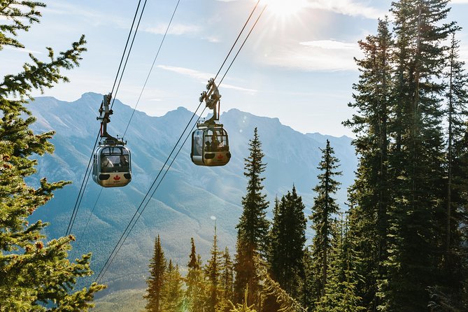 Banff Gondola Ride Admission - The eight-minute climb above Banff