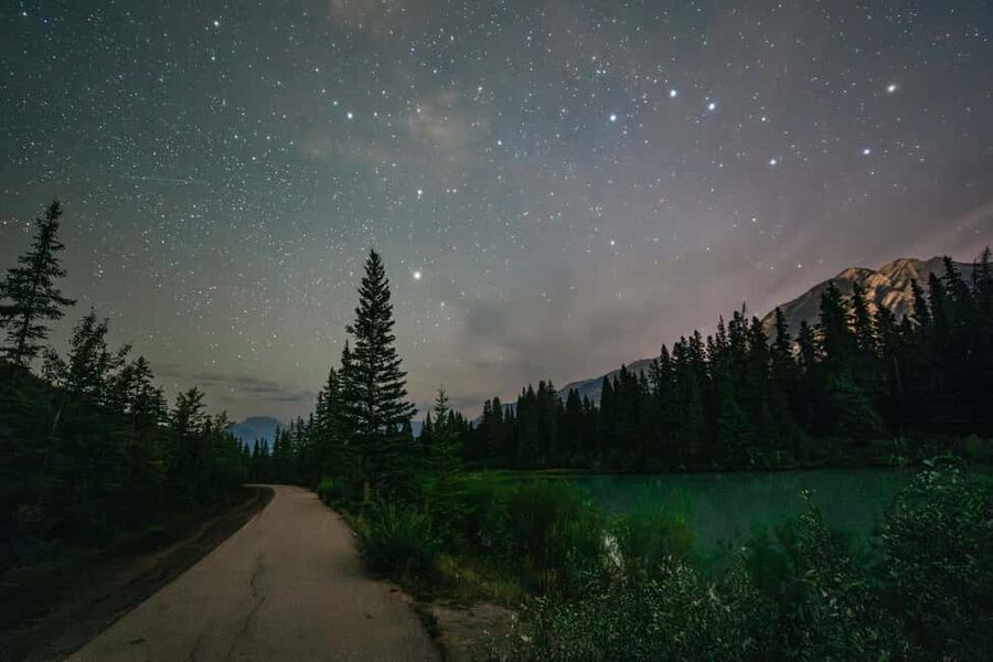 Banff: Guided Sunset and Stargazing Tour - Wildlife, darkness, and the value of a trained guide