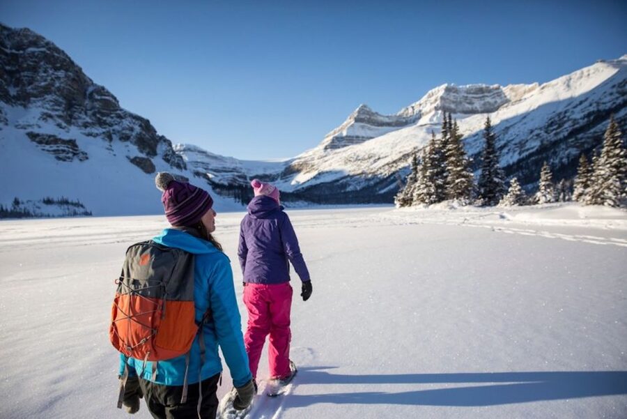 Banff: Icefields Parkway & Abraham Lake Ice Bubbles Tour - Key points at a glance