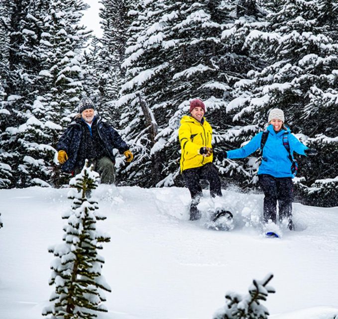 Banff/Jasper: Canadian Rockies Helicopter & Snowshoe Tour - The wilderness hot chocolate stop