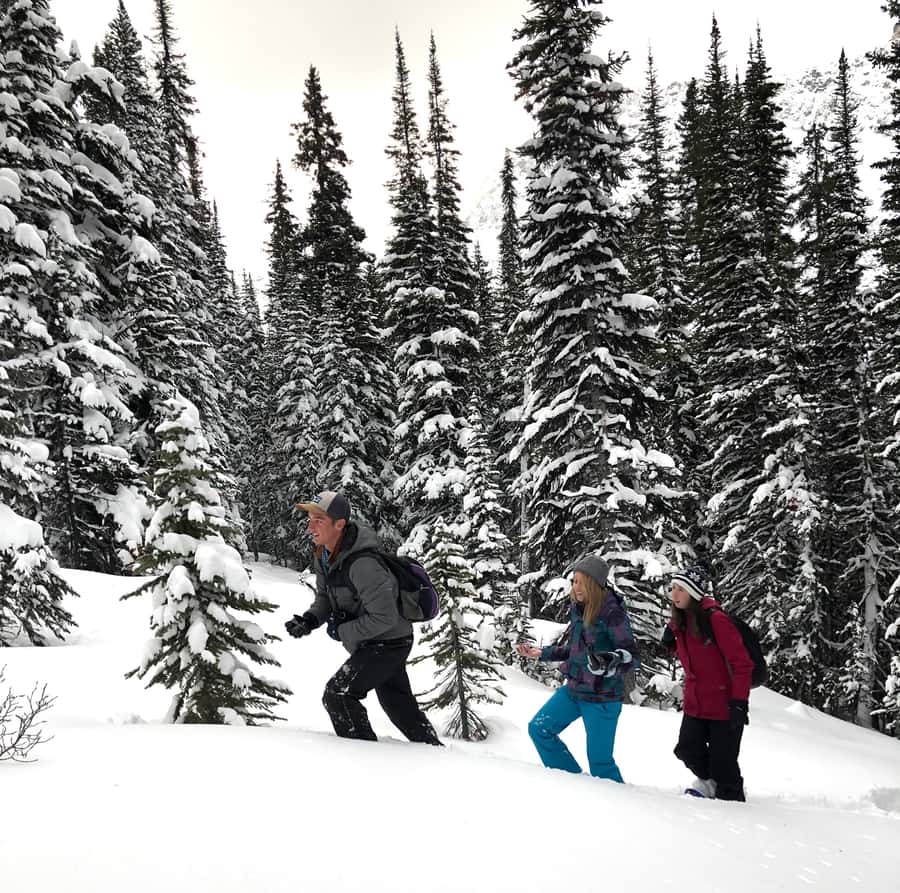 Banff/Jasper: Canadian Rockies Helicopter & Snowshoe Tour - Who will enjoy this outing most