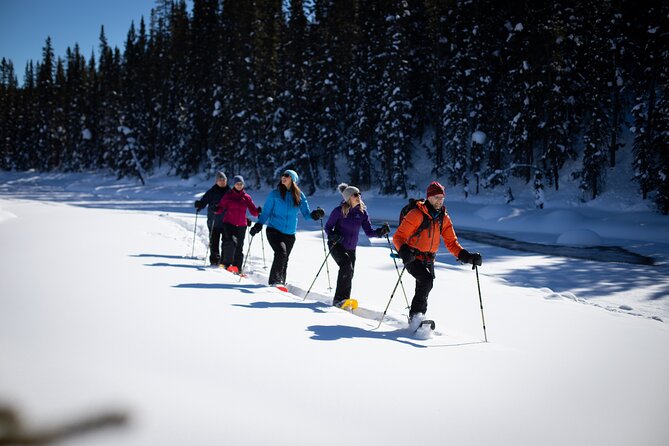 Banff, Lake Louise and Johnston Canyon - Winter Wonderland Tour - Johnston Canyon and the frozen waterfalls