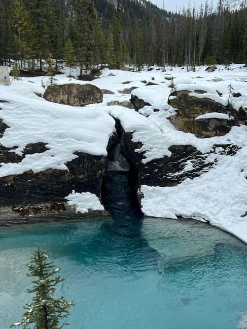 Banff: Lake Louise, Emerald, Moraine Lake & Johnston Canyon - Lake Louise gives you the classic Rockies scene