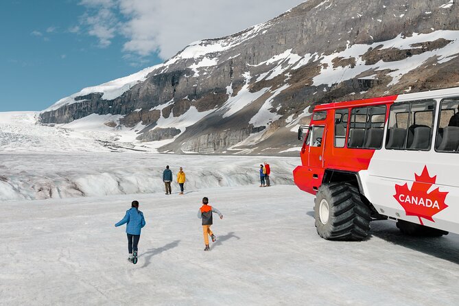 Banff: Lake Louise, Marble Canyon, Bow Lake, Peyto Lake Tour - Bow Lake and Peyto Lake: the photo highlights