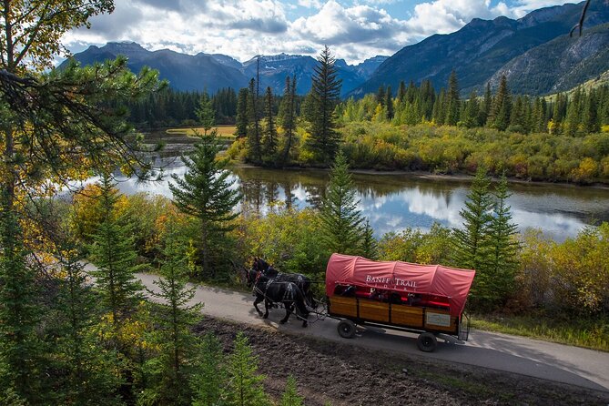 Banff Lake Louise Moraine & Emerald Lake Tour - Banff Avenue or Bow Falls to finish