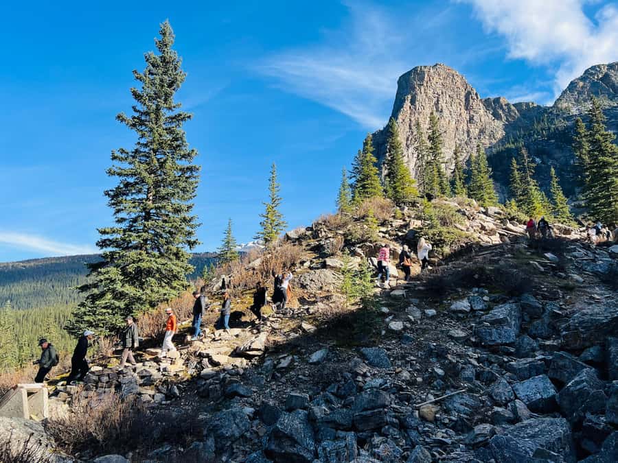 Banff: Lake Louise & Moraine Lake Half Day Tour - A comfortable ride, with a few practical limits