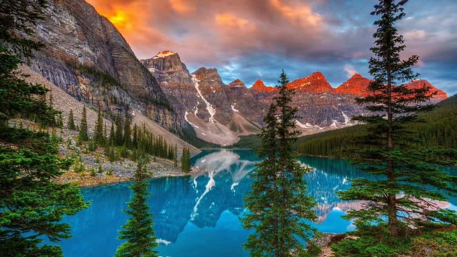 Banff: Louise & Moraine Lake or Johnston Canyon 1/2 Day Tour - Key points at a glance