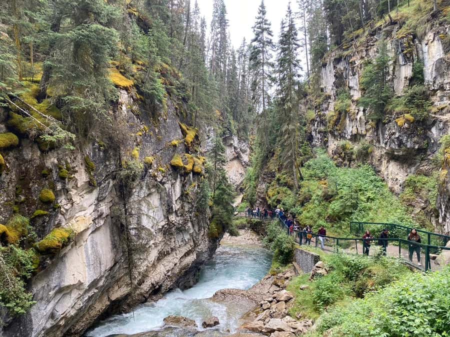 Banff: Louise & Moraine Lake or Johnston Canyon 1/2 Day Tour - Johnston Canyon: a strong winter substitute