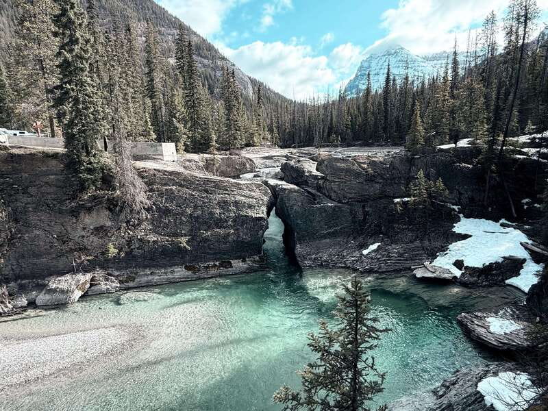 Banff: Moraine, Peyto, Bow, Lake Louise & Johnston Canyon - Banff town: 45 minutes for a quick look