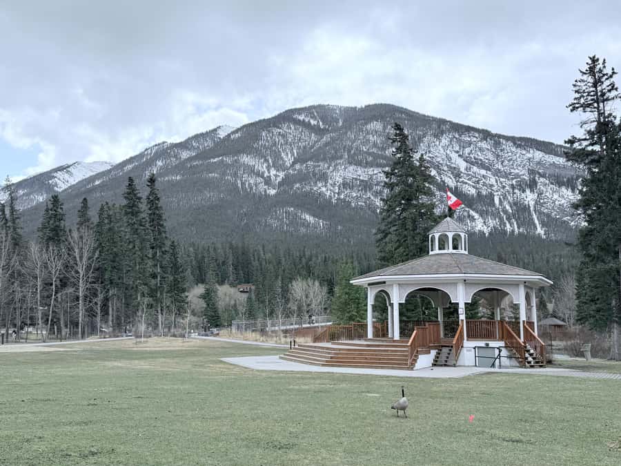 Banff: Moraine, Peyto, Bow, Lake Louise & Johnston Canyon - Guides, photography, and the human side of the day