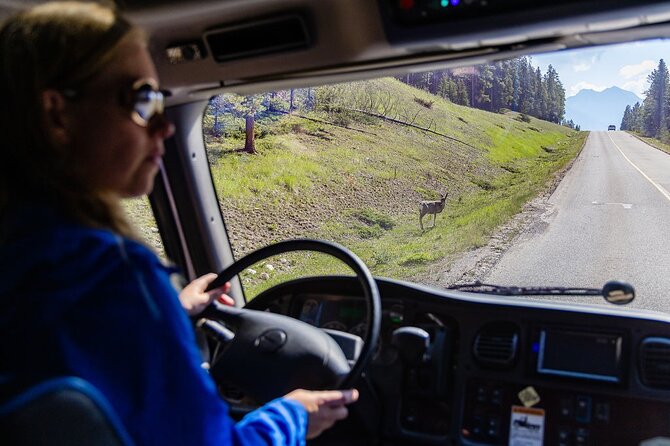 Banff Morning Tour Scenic Highlights and Gondola Ride - What is included, and what you are really paying for