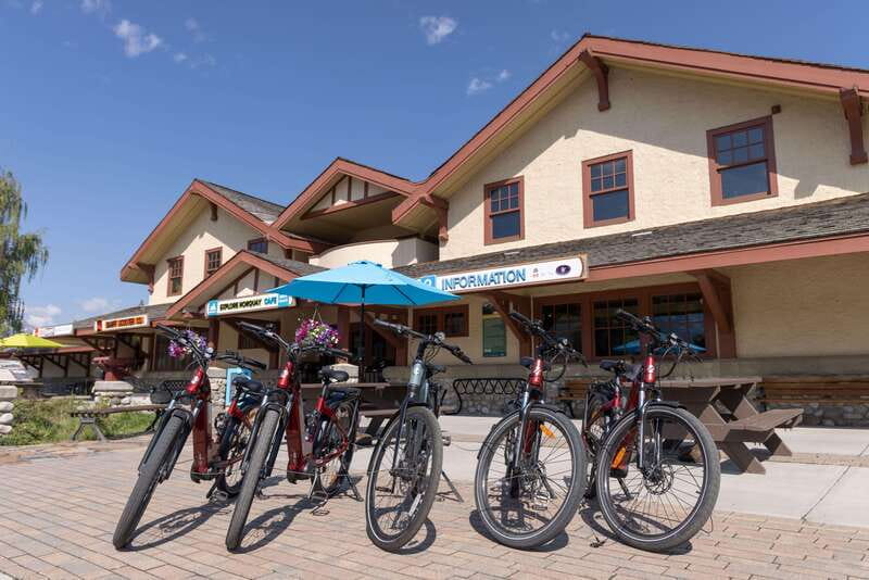 Banff: Mountain Lakeside Guided E-Bike Tour - The Minnewanka loop and possible wildlife