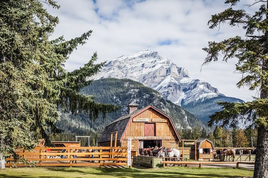Banff National Park: 1-Hour Bow River Horseback Ride - Key points to know before you book