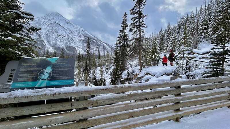 Banff National Park: Canyons, Lakes & Local Favourites - Bow Falls and Surprise Corner frame Banff’s famous hotel