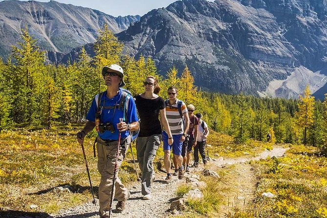 Banff National Park Guided Hike with Lunch - What this Banff hike actually offers
