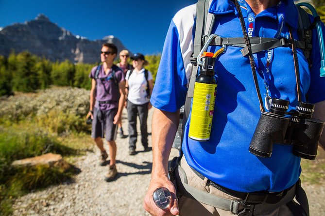 Banff National Park Guided Hike with Lunch - Plain of Six Glaciers from Lake Louise